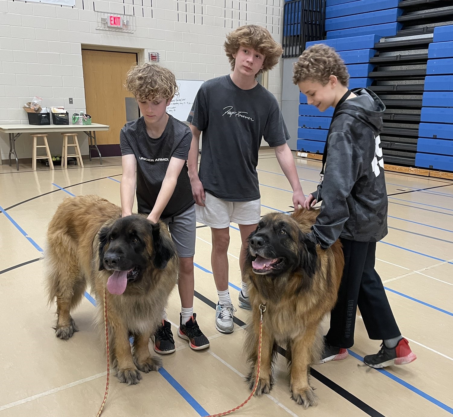therapy dogs with students at Harmon